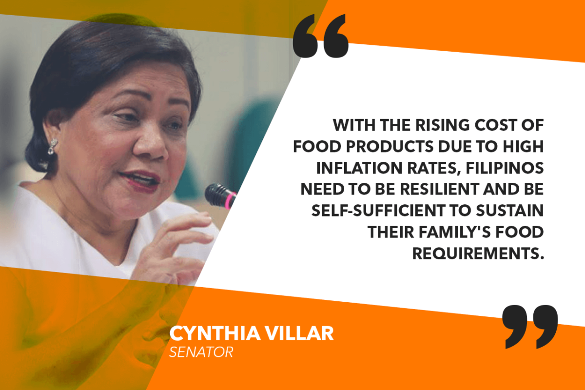 RAISE ANIMALS IN YOUR BACKYARD TO ENSURE FOOD FOR THE FAMILY – VILLAR