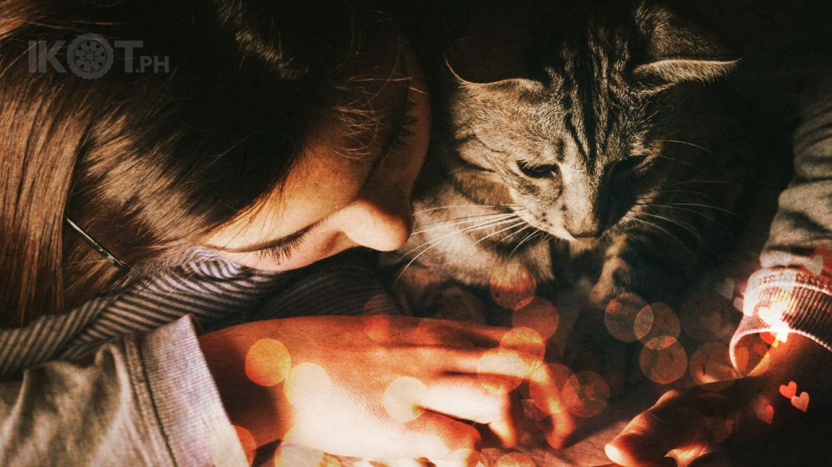 a girl cuddling with a cat