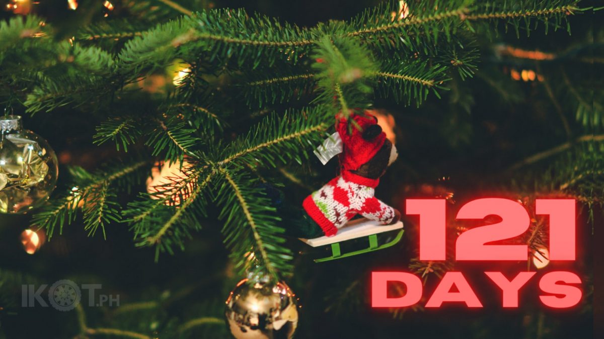 Christmas tree with 121 days printed