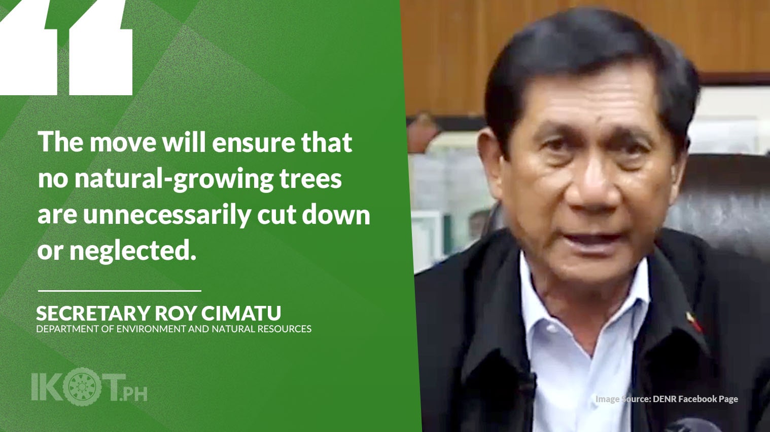 TREE CUTTING PERMITS NOW AT DENR REGIONAL OFFICES — IKOT.PH