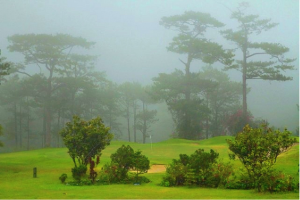 Fog in Baguio Country club