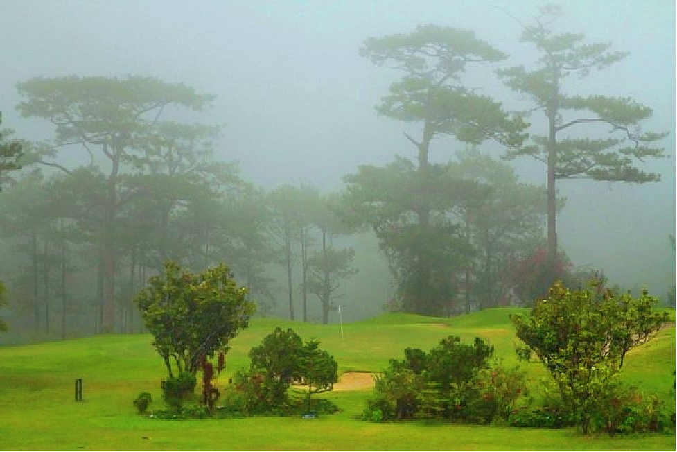 Fog in Baguio Country club