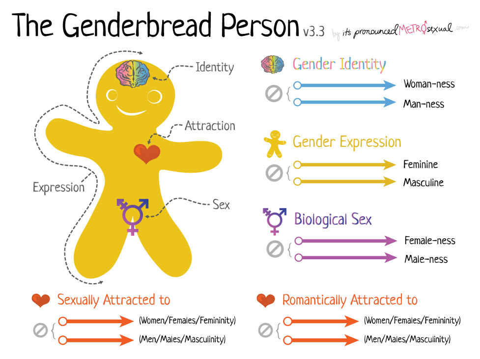 SOGIE Genderbread