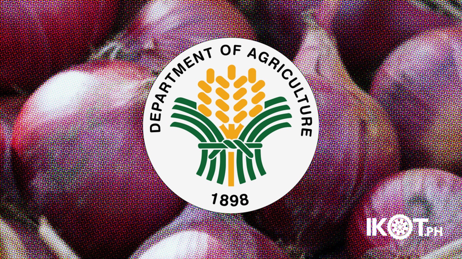DA LAUNCHES SPECIAL LOAN PROGRAM FOR ONION FARMERS — IKOT.PH